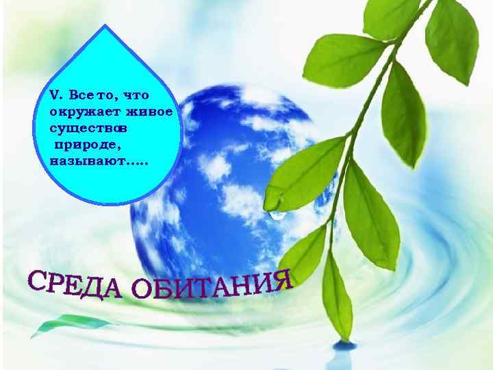 V. Все то, что окружает живое существо в природе, называют…. . 