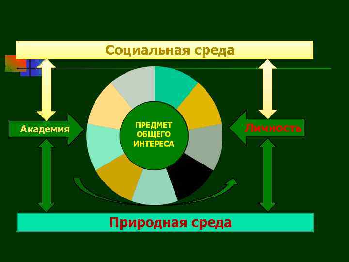Социальная среда Личность Академия Природная среда 