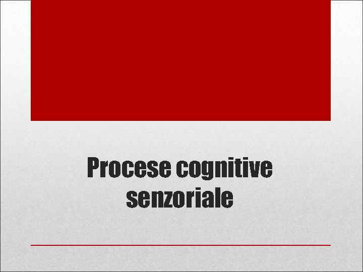 Procese cognitive senzoriale 