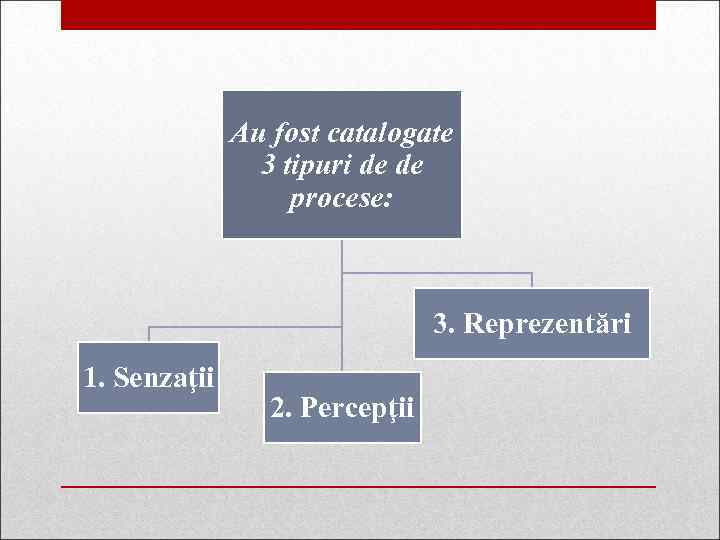 Au fost catalogate 3 tipuri de de procese: 3. Reprezentări 1. Senzaţii 2. Percepţii