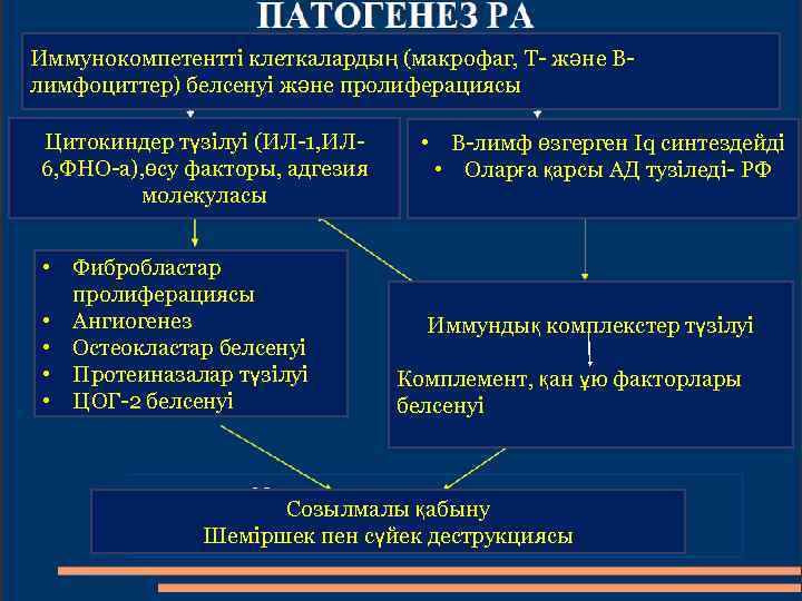 Иммунокомпетентті клеткалардың (макрофаг, Т- және Влимфоциттер) белсенуі және пролиферациясы Цитокиндер түзілуі (ИЛ-1, ИЛ 6,