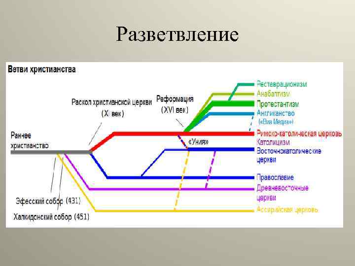 Разветвление 