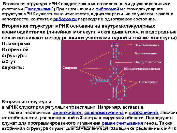 Пространственная структура рнк