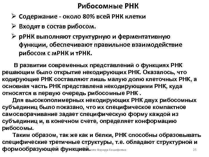 Рибосомные РНК Ø Содержание - около 80% всей РНК клетки Ø Входят в состав