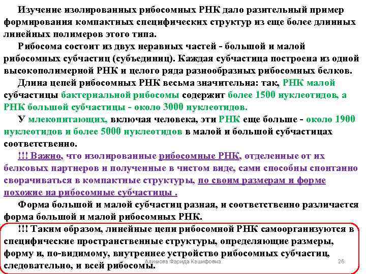 Изучение изолированных рибосомных РНК дало разительный пример формирования компактных специфических структур из еще более