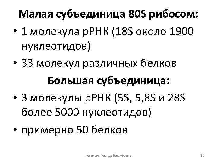 Малая субъединица 80 S рибосом: • 1 молекула р. РНК (18 S около 1900