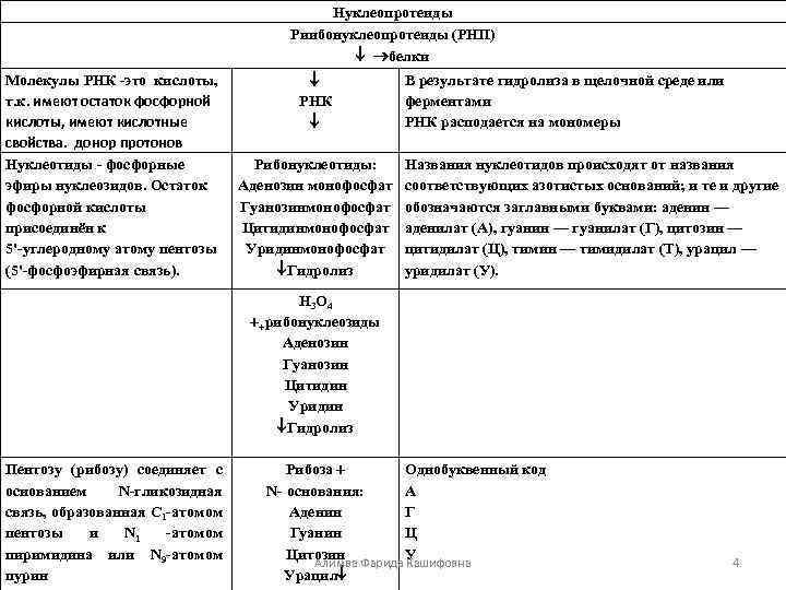 Нуклеопротеиды Риибонуклеопротеиды (РНП) белки Молекулы РНК -это кислоты, т. к. имеют остаток фосфорной кислоты,