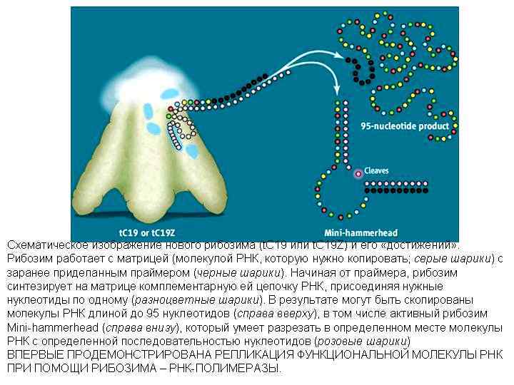 Алимова Фарида Кашифовна 41 