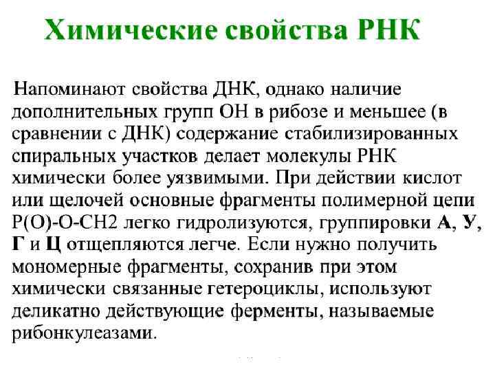 Алимова Фарида Кашифовна 42 