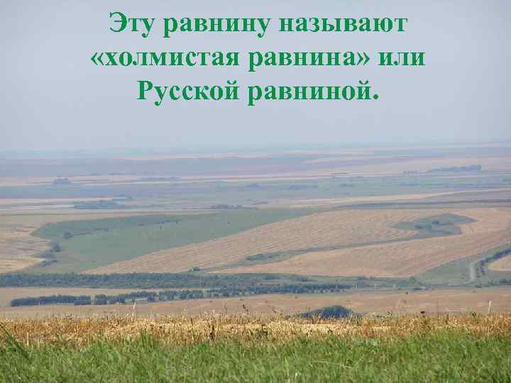 Эту равнину называют «холмистая равнина» или Русской равниной. 