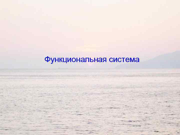 Функциональная система 