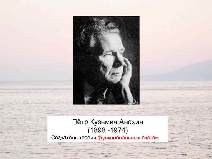 Пётр Кузьмич Анохин (1898 -1974) Создатель теории функциональных систем 
