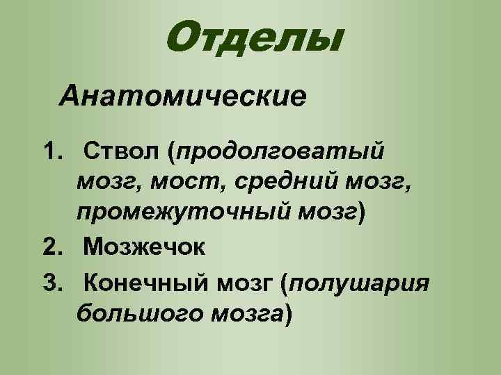 Отделы Анатомические 1. Ствол (продолговатый мозг, мост, средний мозг, промежуточный мозг) 2. Мозжечок 3.