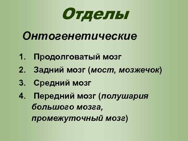 Отделы Онтогенетические 1. Продолговатый мозг 2. Задний мозг (мост, мозжечок) 3. Средний мозг 4.