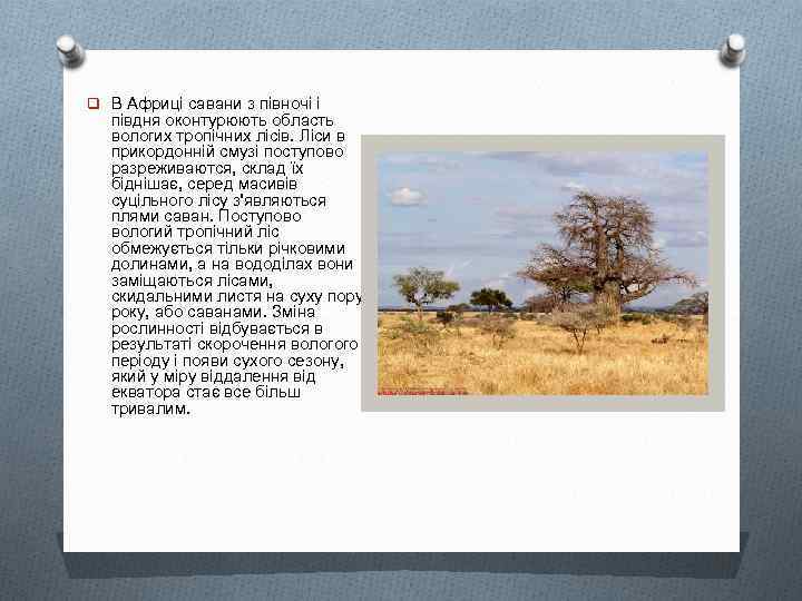 q В Африці савани з півночі і півдня оконтурюють область вологих тропічних лісів. Ліси