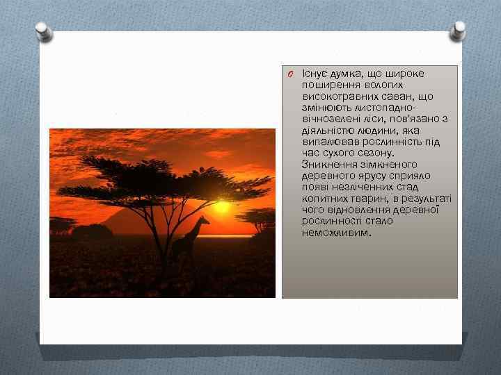 O Існує думка, що широке поширення вологих високотравних саван, що змінюють листопадновічнозелені ліси, пов'язано