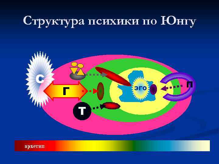 Структура психики по Юнгу С Г ЭГО Т архетип П 