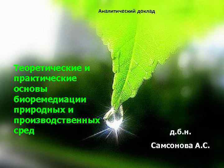 Аналитический доклад Теоретические и практические основы биоремедиации природных и производственных сред д. б. н.