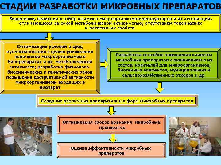СТАДИИ РАЗРАБОТКИ МИКРОБНЫХ ПРЕПАРАТОВ Выделение, селекция и отбор штаммов микроорганизмов-деструкторов и их ассоциаций ,