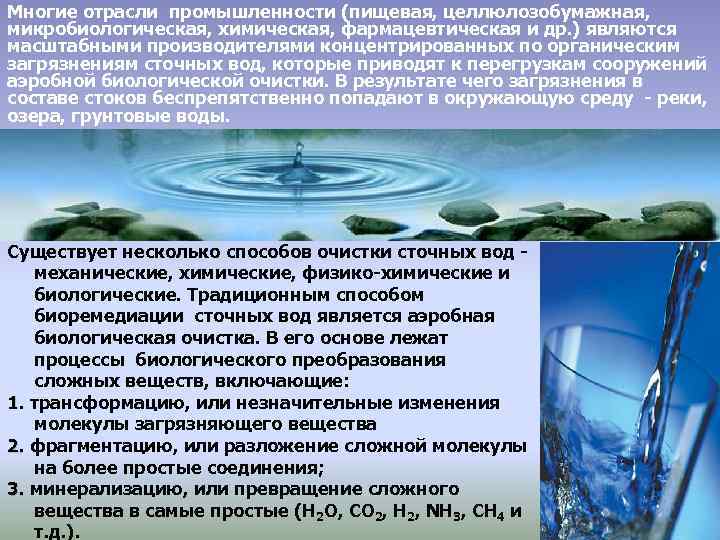 Многие отрасли промышленности (пищевая, целлюлозобумажная, микробиологическая, химическая, фармацевтическая и др. ) являются масштабными производителями