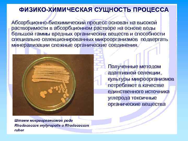ФИЗИКО-ХИМИЧЕСКАЯ СУЩНОСТЬ ПРОЦЕССА Абсорбционно-биохимический процесс основан на высокой растворимости в абсорбционном растворе на основе