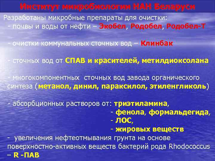 Институт микробиологии НАН Беларуси Разработаны микробные препараты для очистки: - почвы и воды от