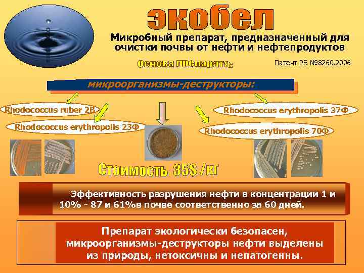 Микробный препарат, предназначенный для очистки почвы от нефти и нефтепродуктов Патент РБ № 8260,