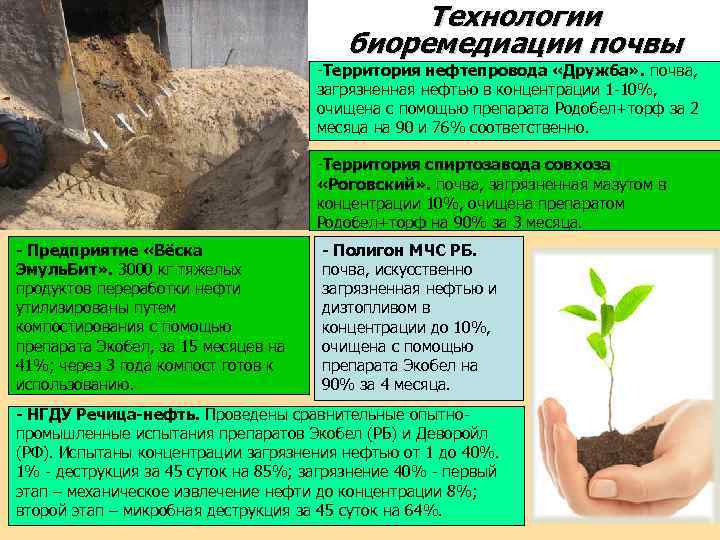 Биоремедиация почв загрязненных презентация