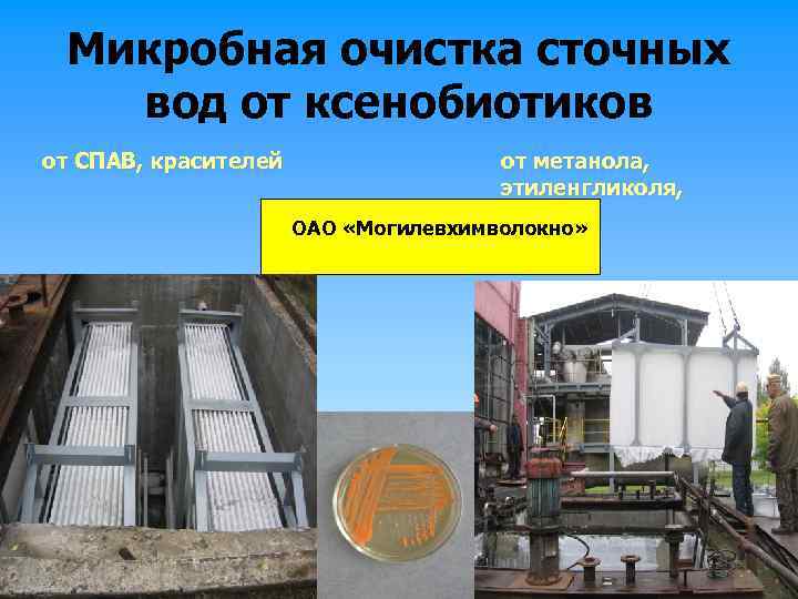Микробная очистка сточных вод от ксенобиотиков от СПАВ, красителей от метанола, этиленгликоля, динила ОАО
