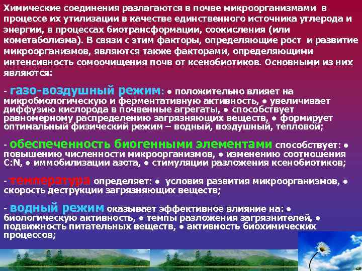 Химические соединения разлагаются в почве микроорганизмами в процессе их утилизации в качестве единственного источника