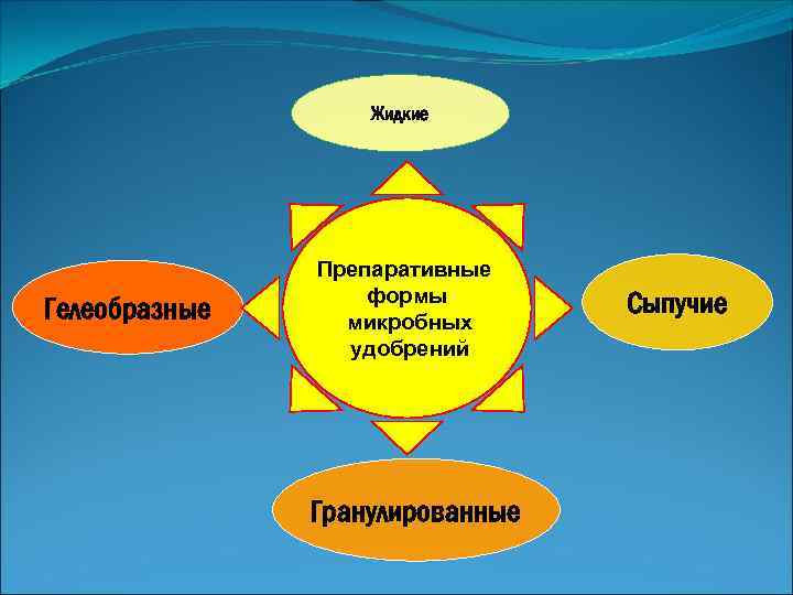 Жидкие Гелеобразные Препаративные формы микробных удобрений Гранулированные Сыпучие 