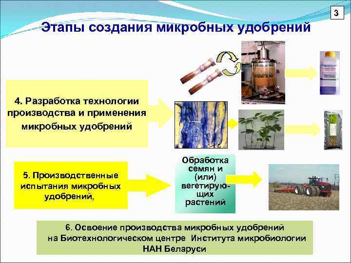 3 Этапы создания микробных удобрений 4. Разработка технологии производства и применения микробных удобрений 5.