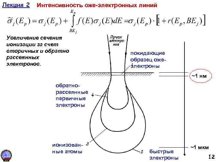 Лекция 2 Интенсивность оже-электронных линий Увеличение сечения ионизации за счет вторичных и обратно рассеянных