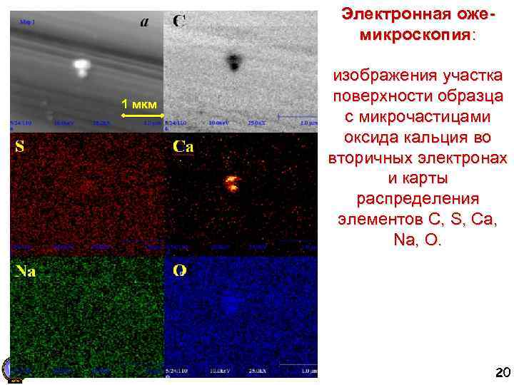 Электронная ожемикроскопия: 1 мкм изображения участка поверхности образца с микрочастицами оксида кальция во вторичных