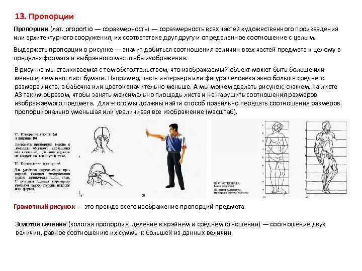 13. Пропорции (лат. proportio — соразмерность) — соразмерность всех частей художественного произведения или архитектурного