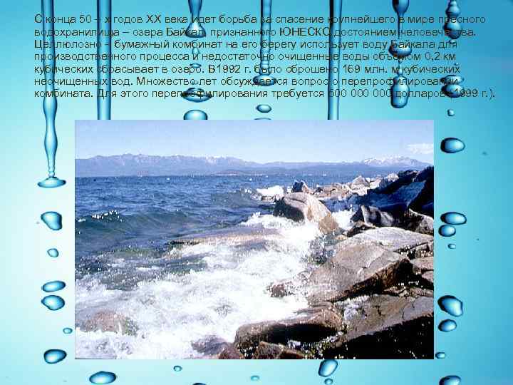  С конца 50 – х годов XX века идет борьба за спасение крупнейшего