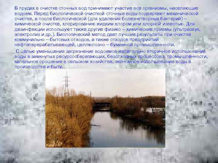  В прудах в очистке сточных вод принимают участие все организмы, населяющие водоем. Перед