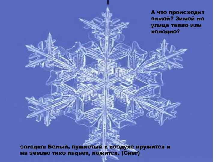 А что происходит зимой? Зимой на улице тепло или холодно? загадка: Белый, пушистый в