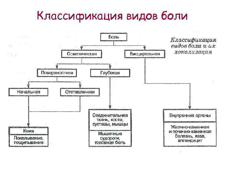 Классификация видов боли 