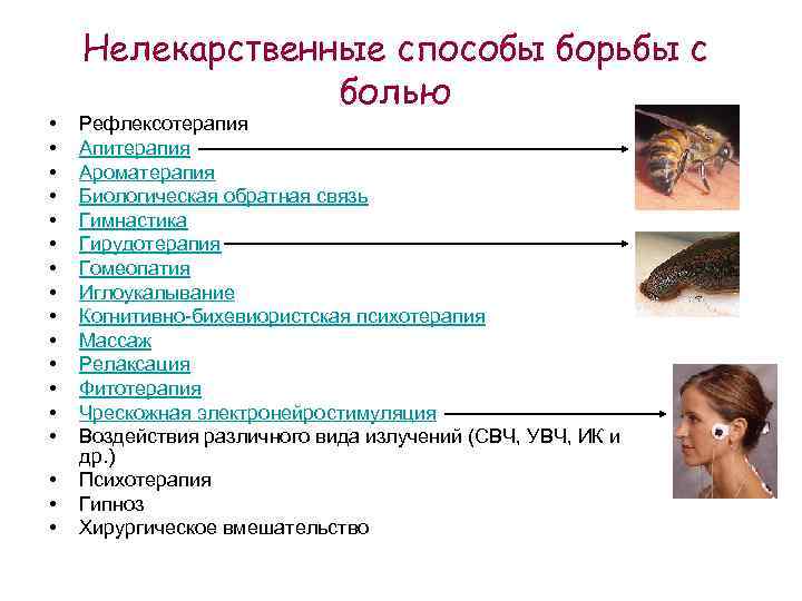  • • • • • Нелекарственные способы борьбы с болью Рефлексотерапия Апитерапия Ароматерапия