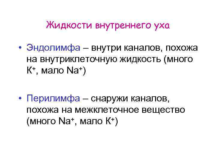 Жидкости внутреннего уха • Эндолимфа – внутри каналов, похожа на внутриклеточную жидкость (много К+,