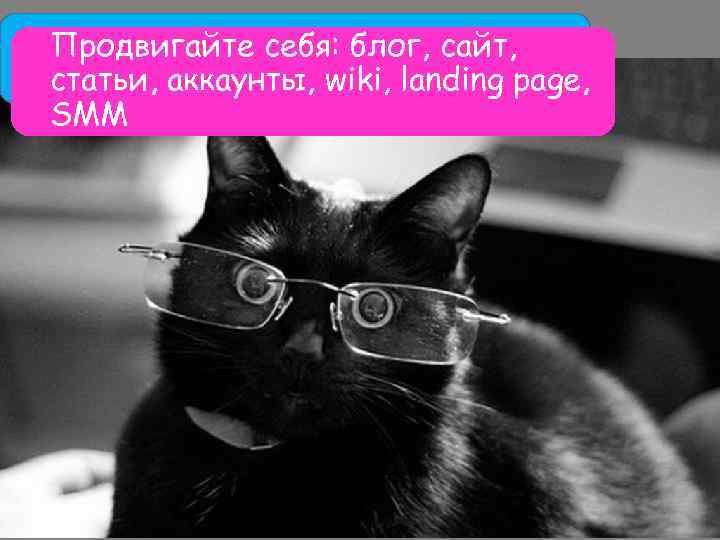 Продвигайте себя: блог, сайт, статьи, аккаунты, wiki, landing page, SMM 