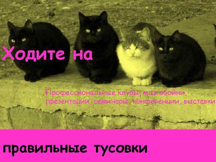 Ходите на Профессиональные клубы, мозгобойни, презентации, семинары, конференции, выставки правильные тусовки 