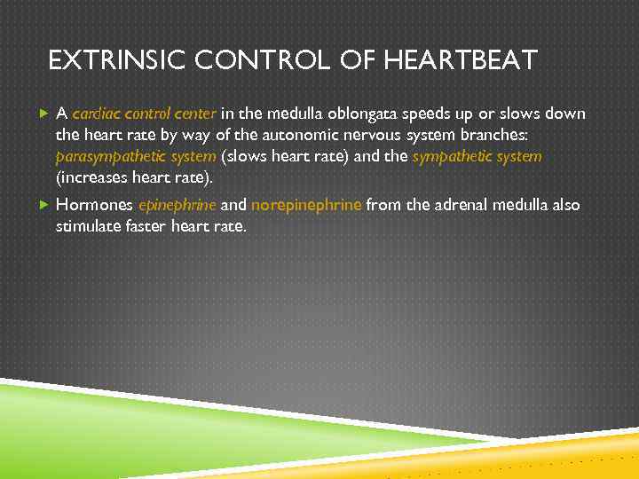 EXTRINSIC CONTROL OF HEARTBEAT A cardiac control center in the medulla oblongata speeds up
