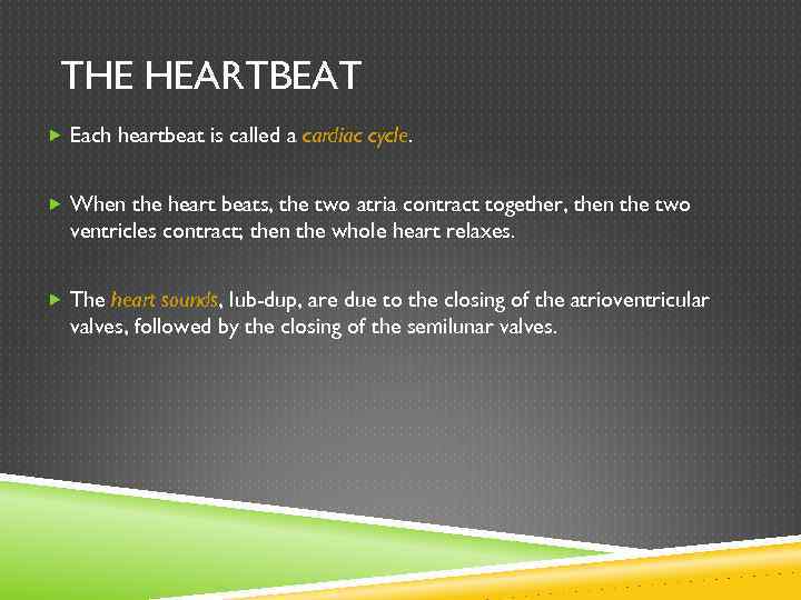 THE HEARTBEAT Each heartbeat is called a cardiac cycle. When the heart beats, the