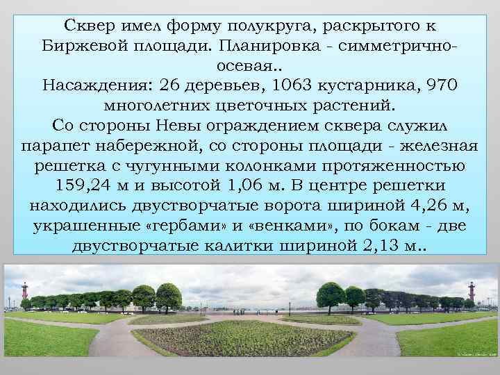 Сквер имел форму полукруга, раскрытого к Биржевой площади. Планировка - симметричноосевая. . Насаждения: 26