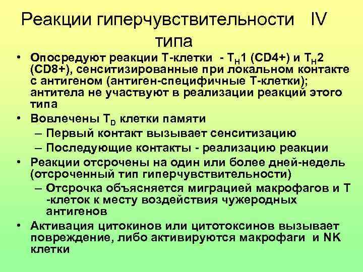Реакции гиперчувствительности IV типа • Опосредуют реакции Т-клетки - TH 1 (CD 4+) и