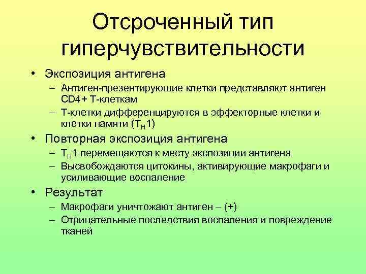 Отсроченный тип гиперчувствительности • Экспозиция антигена – Антиген-презентирующие клетки представляют антиген CD 4+ Т-клеткам