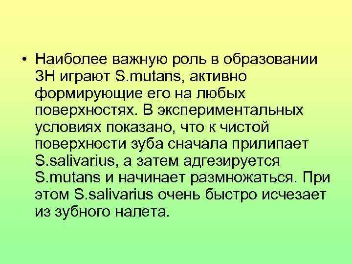  • Наиболее важную роль в образовании ЗН играют S. mutans, активно формирующие его