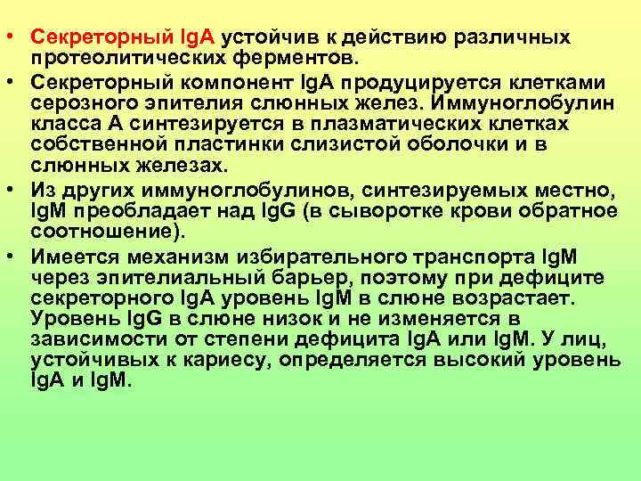  • Секреторный Ig. A устойчив к действию различных протеолитических ферментов. • Секреторный компонент